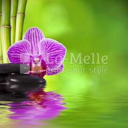 piedras con orquídea y bambú