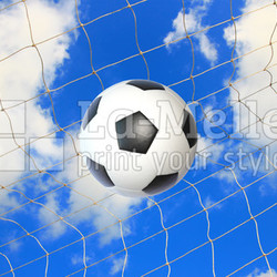 soccer ball in goal