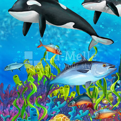 The coral reef