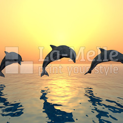 Jumping Dolphins