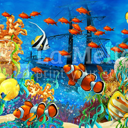The coral reef