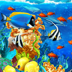 The coral reef