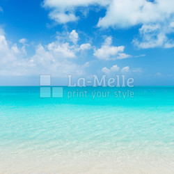 Tropical Beach