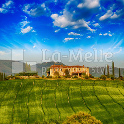 Italian landscape. Tuscany fields