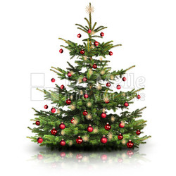 Weihnachtsbaum
