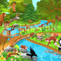 wild animals living in the forest