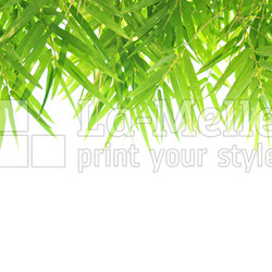 Bamboo leaf background - border design