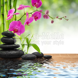 composition bamboo-purple orchid-black stones