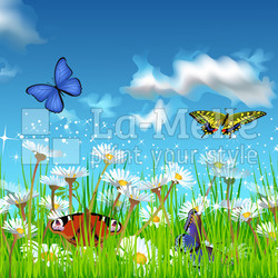 butterflies flying in the field of daisies