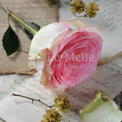 Rose auf Briefen