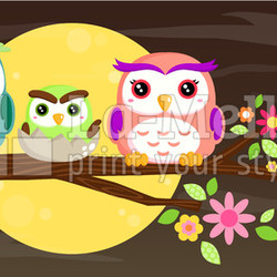Owl Family
