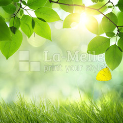 Natural green background