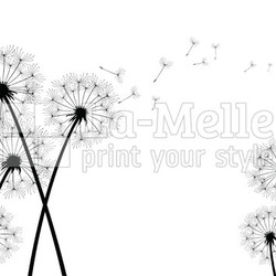 dandelion background