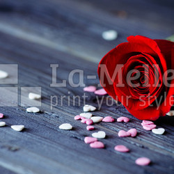 Rose and little hearts for love concept