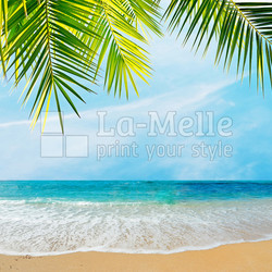 palm and sand
