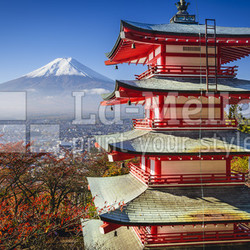 Mt. Fuji in the Fall