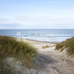 Strand in Holland