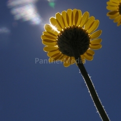 Sonne und Wonne