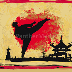 karate Grunge background