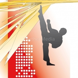 Karate 3