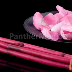 still life with bamboo