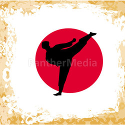 karate Grunge poster