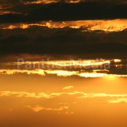 sun