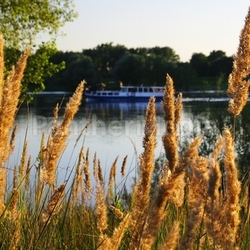 upriver
