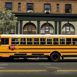 american school bus in new york