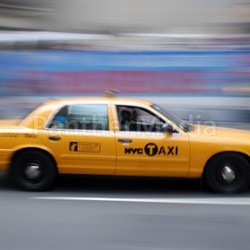 new york taxi