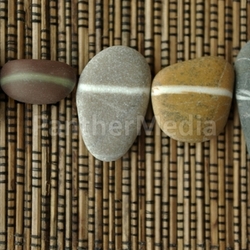 ZEN