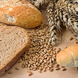 Background with bakery