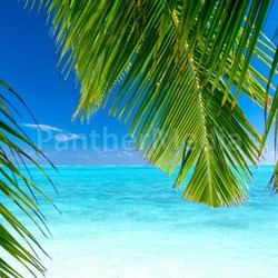 beach view