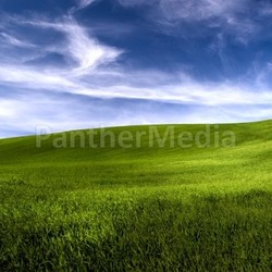 Spring field