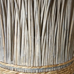 bamboo bundle