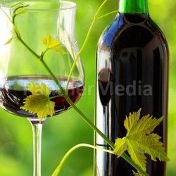 Glass and bottle of red wine 