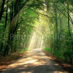 beam path