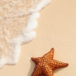 Starfish and ocean wave