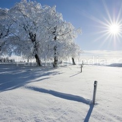 Wintersonne