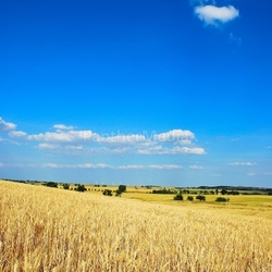 Uckermark