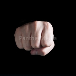 Fist