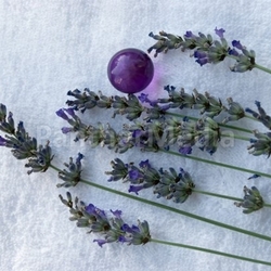 lavendel relaxend verschnaufend entspannen pausierend ruhen lavandula erholend aromatherapie abspannen gartenbau ausspannen erleichtern ausruhen ausruhend rasten relaxt relaxen verschnaufen abspannend wellness rastend innehalten entspannend ausspanne