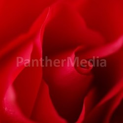 by flower