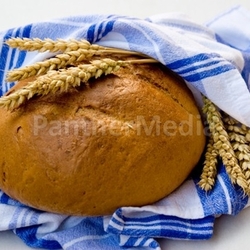 frisch gebackenes Brot