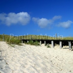 at the beach