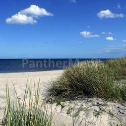 sand dune on the baltic sea