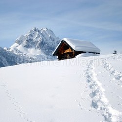 winter tracks