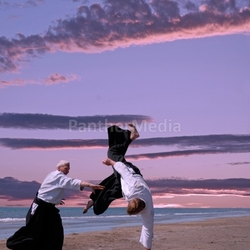 aikido