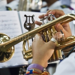 Musician playing the trumpet
