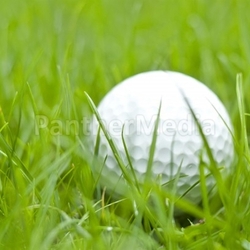 golf ball in the grass